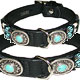 Pedigree 
Watches of Dog Breeds