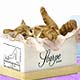 Collectibles,Music Box, Cat Clocks, Cat Sculptures,Cat Figurines