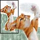 Collectibles,Music Box, Cat Clocks, Cat Sculptures,Cat Figurines