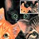 Collectibles, Cat Clocks, Cat Music Boxes, Cat Jars, Cat Mugs