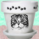 Collectibles, Cat Clocks, Cat Music Boxes, Cat Jars, Cat Mugs