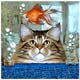 Collectibles,Music Box, Cat Clocks, Cat Sculptures,Cat Figurines
