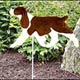 Pedigree Garden Stakes