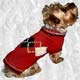 Dog,dog sweater, Dog,pet life preservers Dog,life preservers dogs Dog,floatation Jackets Dog,floatation jackets animals Dog,dog raincoats Dog,dog jumpsuits Dog,raincoats dogs Dog,jackets dogs Dog,coats dogs Dog,dog collars